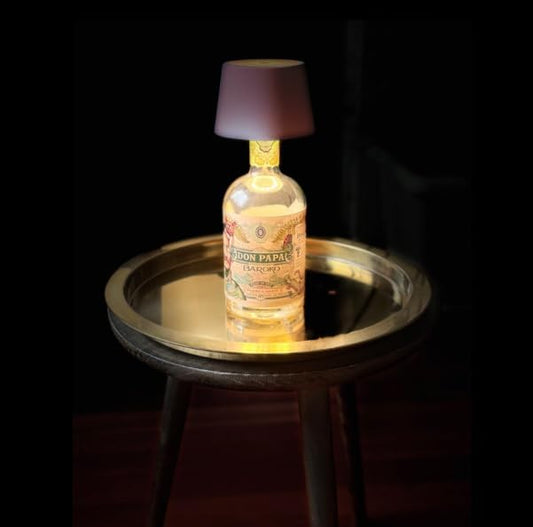 lampada bottiglia ricaricabile,lampada da tavolo senza fili,Controllo Touch da 3 Modalita Temperatura di Colore, per Soggiorno, Camere da Letto,1PZ