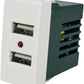 SANDASDON SD71760 Modulo Caricatore USB X2 Da Muro 2 Porte USB 5V 2,1A Bianco Compatibile Vimar Plana