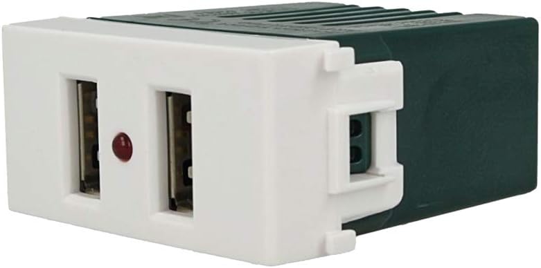 SANDASDON SD71760 Modulo Caricatore USB X2 Da Muro 2 Porte USB 5V 2,1A Bianco Compatibile Vimar Plana